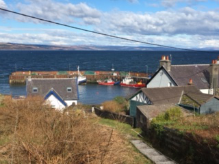 picture of Carradale Harbour